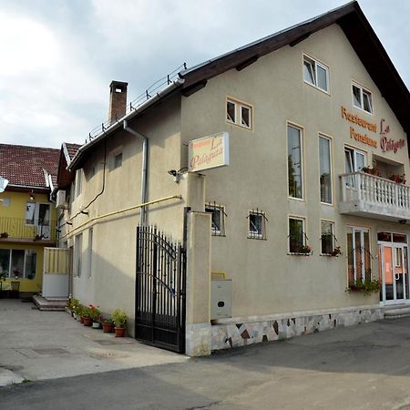 Pensiunea La Palaguta Nagybánya Kültér fotó