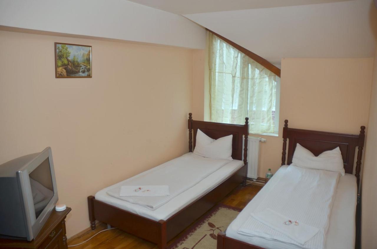 Pensiunea La Palaguta Nagybánya Kültér fotó