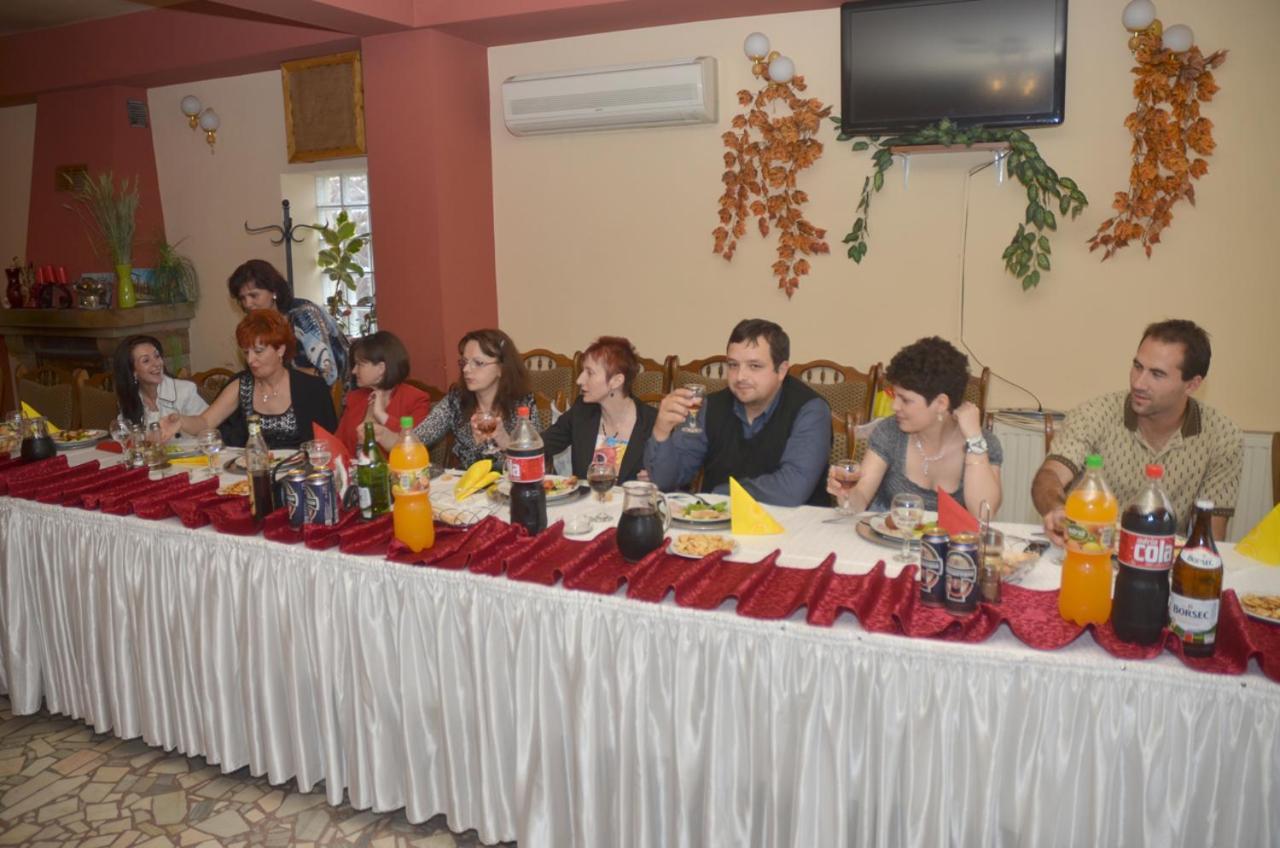 Pensiunea La Palaguta Nagybánya Kültér fotó
