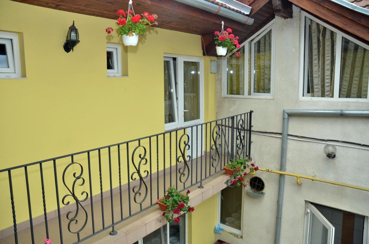 Pensiunea La Palaguta Nagybánya Kültér fotó